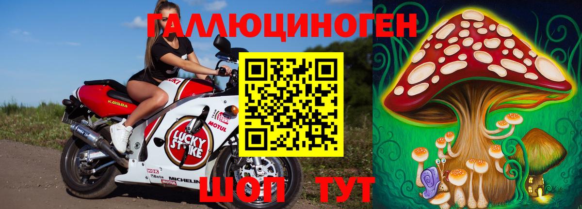 Галлюциногенные грибы мухоморы Мирный