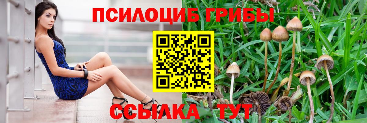 Псилоцибиновые грибы прущие грибы  Галлюциногенные грибы Psilocybe  Вход с VPN  купить закладку  Мирный 